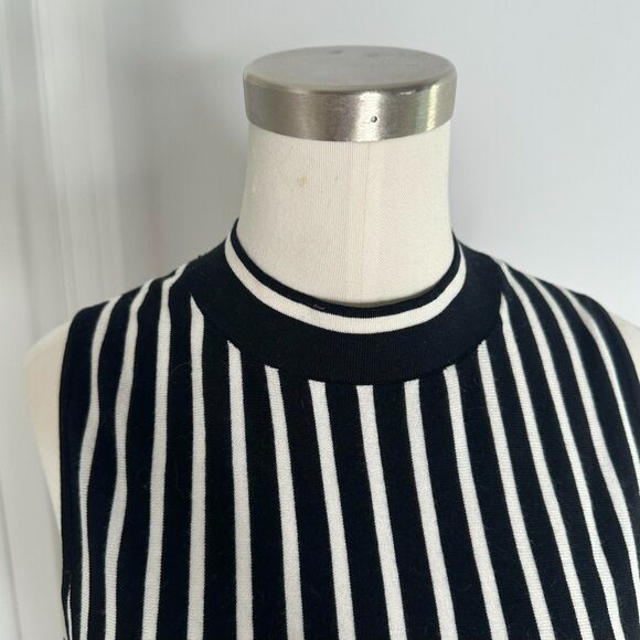 Rag & Bone Silk Cotton Stripe Knit Tank L Sleeveless Mock Neck Minimalist Mod - Picture 4 of 9
